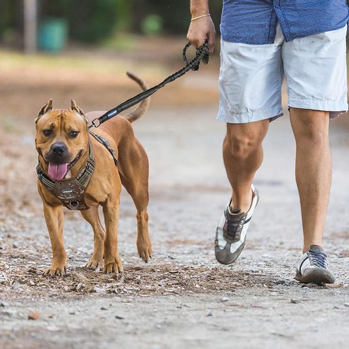 AUROTH Tactical Dog Harness for Small Medium Dogs No Pull Adjustable Pet Harness Reflective K9 Working Training Easy Control Pet Vest Military Service Dog Harnesses Army Yellow S