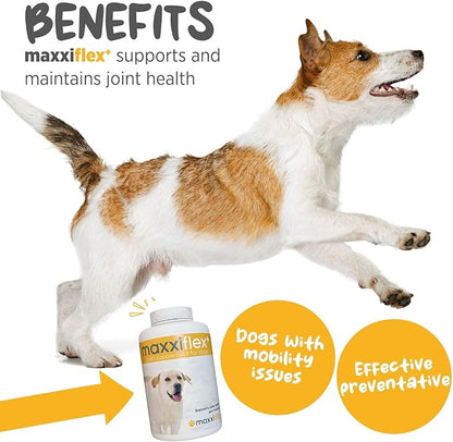 maxxipaws - maxxiflex+ Hip & Joint Supplement for Dogs with Glucosamine, Chondroitin, MSM & Collagen | Mobility, Flexibility & Discomfort Support | Senior, Adult & All Breeds | 60 Tablets