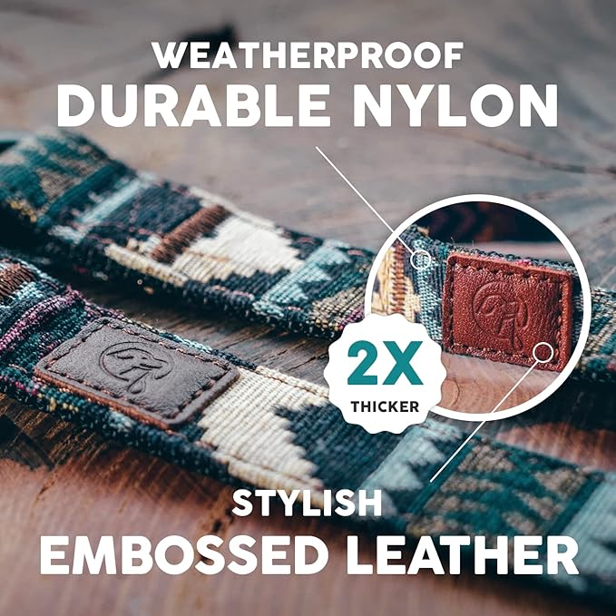 Embark Urban Dog Collar  Dog Collar Stylish & Durable Nylon Dog Collar for Large Dogs, Small Dogs & Medium Dogs.Comfortable Pet Collar Strong Buckles for Any Size Breed (Azure, Medium)