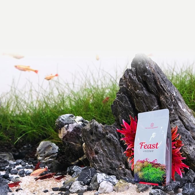 2HR Aquarist APT Feast Planted Aquarium Substrate (5L)