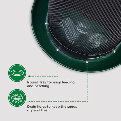 Happy Wings Portable Dual Mesh Metal Hanging Finch Bird Feeder - Durable & Heavy- Duty with 360° Perch & 2 Separate Seed Compartments - Holding Capacity: Upto 3.4 lbs (1.5 Kg) - (Natural Green)