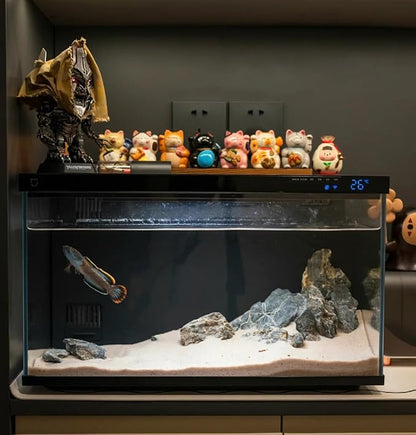 Natural Seiryu Dragon Stone - 20 Pound for Aquariums Decoration, Natural Perforated Fish Tank Decorative Stone for Freshwater Shrimp/Bucket and Reptile Terrarium Hardlandscape, 3-9 Inch