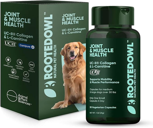 Rooted Owl Joint and Muscle Support for Large Dogs (Over 30 Lbs) - Supplement with UC-II Type II Collagen and L-Carnitine - 30 Count