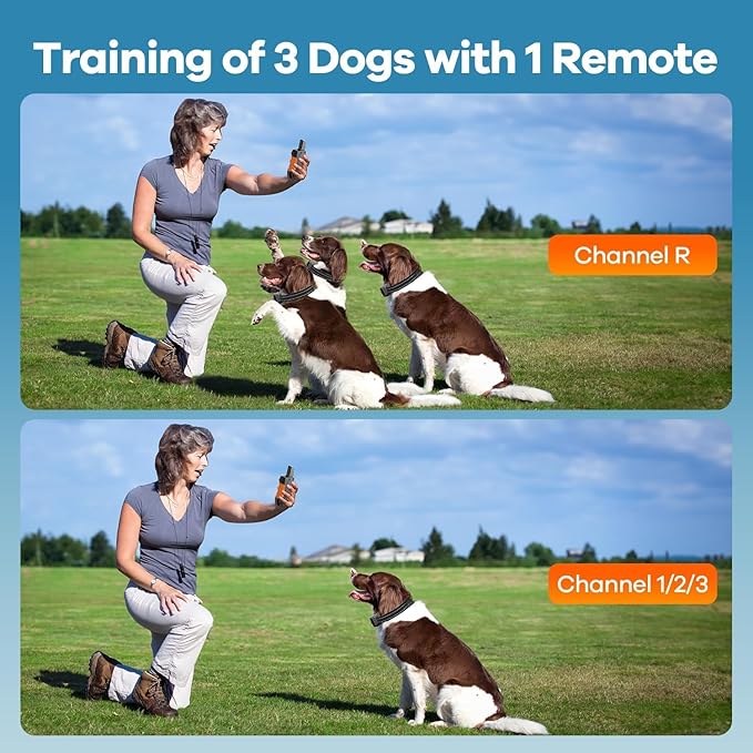 Dog Shock Collar - [2025 Newly Released] 3300Ft Dog Training Collar with Remote for Small Medium Large Dogs, IPX7 Waterproof E Collar for Dogs Training Rechargeable with Unique Shock-Lock