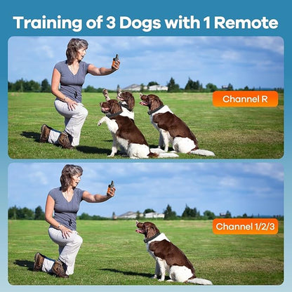 Dog Shock Collar - [2025 Newly Released] 3300Ft Dog Training Collar with Remote for Small Medium Large Dogs, IPX7 Waterproof E Collar for Dogs Training Rechargeable with Unique Shock-Lock