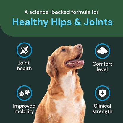 VETRISCIENCE Veterinary Strength Healthy Hip & Joint Chews - Joint Health Supplement for Dogs Over 60 Pounds - Supports Mobility & Flexibility in Large Dogs - 60 Count