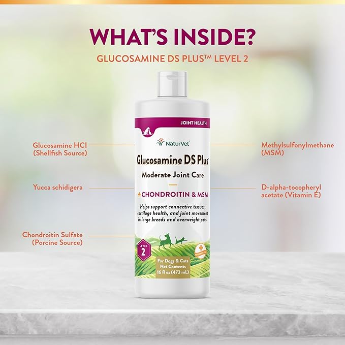 NaturVet Glucosamine DS Plus Hip & Joint Support Liquid Pet Supplement  Level 2 Moderate Care for Dogs & Cats  Includes Glucosamine, MSM, Chondroitin  16 Oz