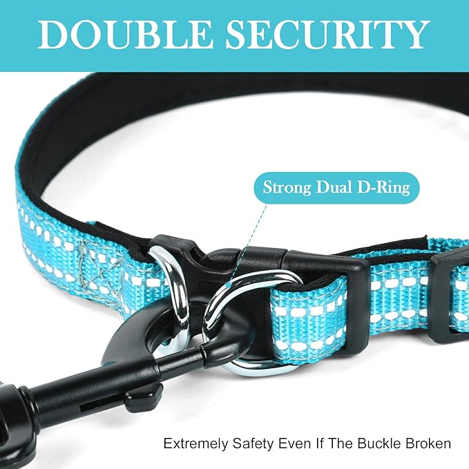 AUAUY Reflective Nylon Dog Collars, Adjustable Classic Pet Collars with Soft Neoprene Padding, Double Security Dual D-Ring and Quick Release Buckle for Small Puppy, Medium and Large Dogs (Lake Blue-S)