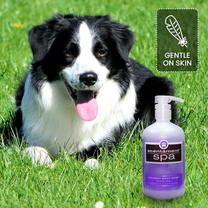 Best Shot Scentament Spa Calming Body Wash, Lavender Aloe, 16 oz