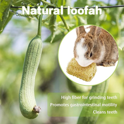 BNOSDM Bunny Chew Toys Natural Loofah 4PCS Bunny Teeth Grinding Toy Rabbit Fiber-Rich Treats Pet Entertainment Accessories for Rabbits Chinchillas Guinea Pig（L）