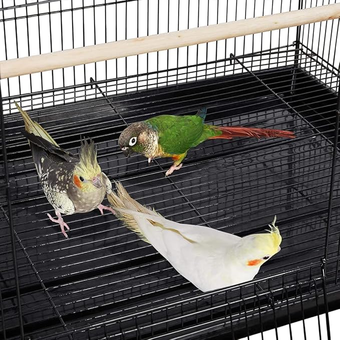 Lot of Breeding Bird Flight Cages for Canary Parakeet Aviaries Budgies Lovebird Finch (Large 30" Black)