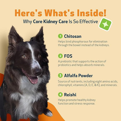 Pet Wellbeing Core Kidney Care for Dogs - Daily Phosphate Binder, Supports Healthy Kidney Function with FOS, Chitosan, Probiotics - Veterinarian-Formulated 5.08 oz (144 g) Powder