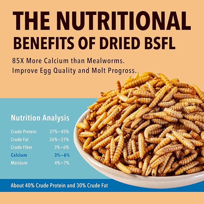 11LB Dried Black Soldier Fly Larvae,Chicken Feed More Calcium Than Mealworms for Chickens,Laying Hens,Blue Birds