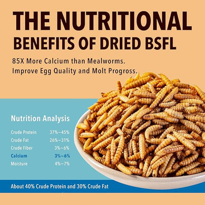 11LB Dried Black Soldier Fly Larvae,Chicken Feed More Calcium Than Mealworms for Chickens,Laying Hens,Blue Birds