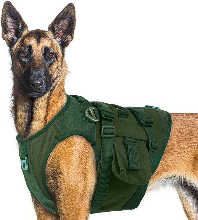 DORA BRIDAL Tactical Dog Harness, Service Dog Molle Vest with Handle, Military Dog Harness with Hook & Loop Panels, Heavy Duty No Pull Adjustable Dog Vest for Training, Walking, Hiking, Green M