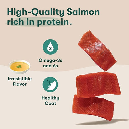 Jinx Premium Wet Dog Food Cans - Salmon Pate - Grain-Free Canned Dog Food Pate & Topper with Real Ingredients & No Fillers - All Life Stages, Breeds & Sizes - 12-Pack, 13 Oz