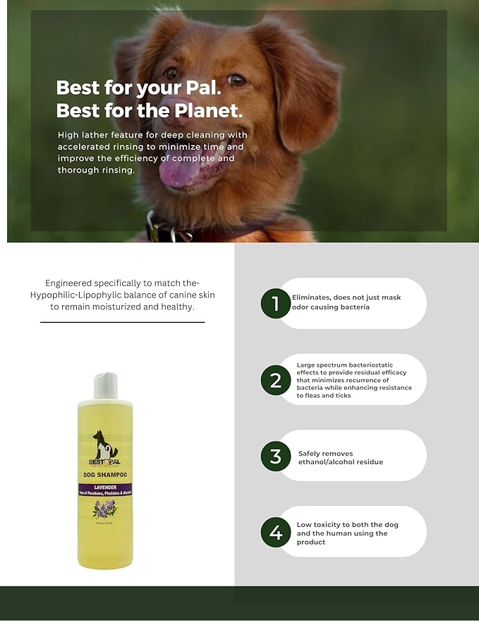 Dog Shampoo | Natural Lavender Hypoallergenic Dog wash | Balanced pH for All Dog Skin, Cruelty Free 16 oz