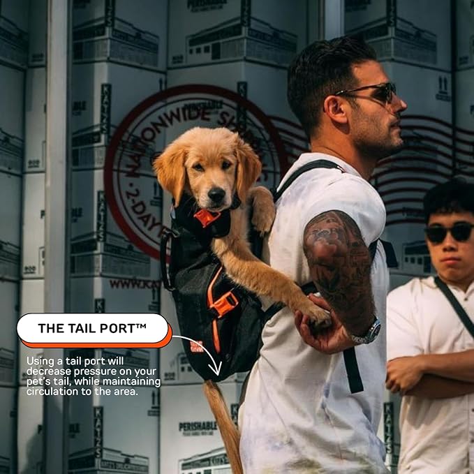 The Maxine One Small Dog Carrier by Little Chonk | Dog Backpack Carrier for Small Sized Breeds | Adjustable Front Facing Pet Carrier for Travel | Dog Hiking Backpack -Bark After Dark Black