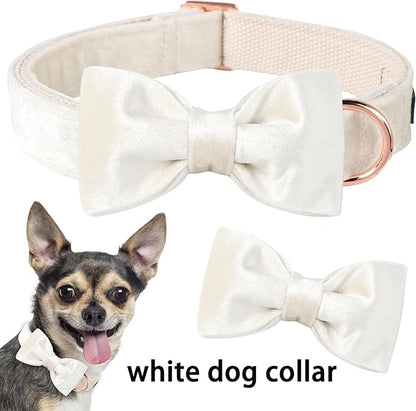 ARING PET Bowtie Dog Collar-Velvet Dog Collars with Detachable Bowtie, White Wedding Soft Dog Collar,X-Large.