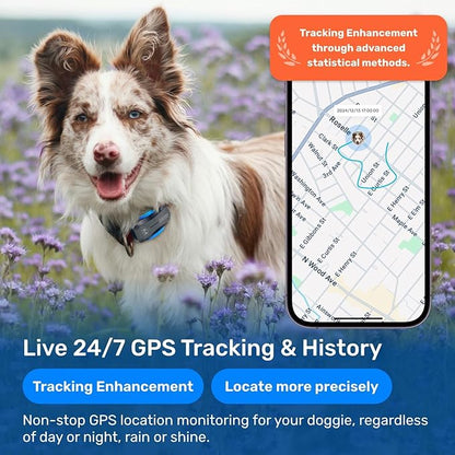 AI GPS Tracker for Dogs (30lbs+), Real Time Location and AI Vet Health Management, Electronic Fence, Waterproof, iOS and Android Universalï¼_lackï¼