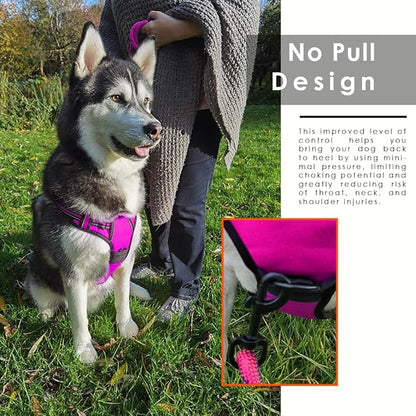 Dog Harness and Leash Duo, No Pull Vest Harness with 5 Ft Leash, Soft padded Vest, No-Choke Oxford Pet Harness, Easy Control Handle and Adjustable Pet Harness (Rose Red, Medium)