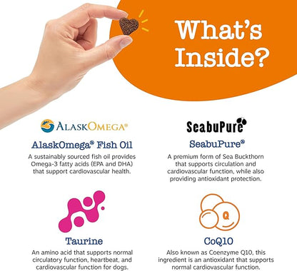 Zesty Paws Cardiovascular Support for Dogs - Taurine for Dogs - with CoQ10, L Carnitine & Sea Buckthorn - Senior Heart Health - AlaskOmega Fish Oil Omega 3 - Senior - Salmon - 90 Count