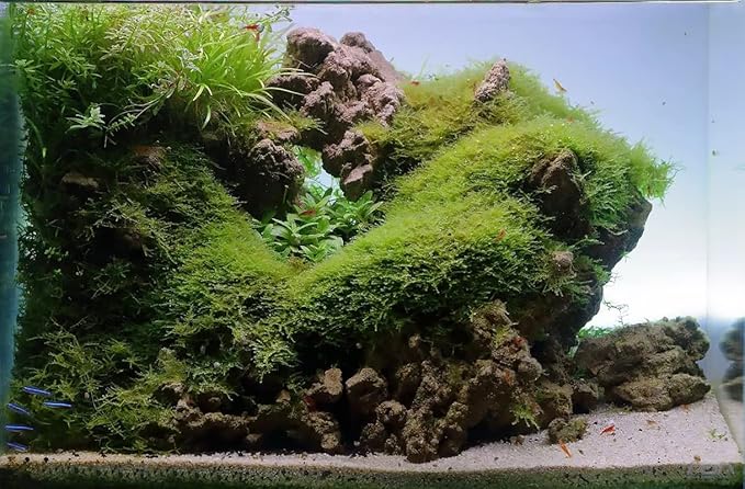 SubstrateSource Natural Stone for Aquarium, Terrarium, Paludarium, Reptile Enclosures - Set of Decorative Rocks for Landcapes, Aquascaping, Fish Tank Decor (Mountain Stone Stone, 20 Pounds, 3-10")