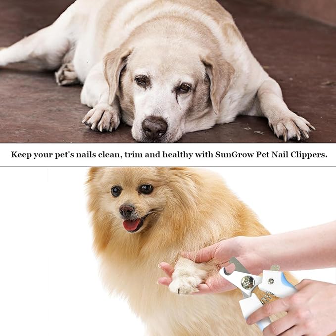 SunGrow Dog Nail Clipper and File Set, with Clipper and File, Razor Sharp Blade with Safety Switch, Blue and White, 1 Set per Pack