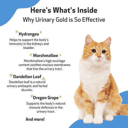Pet Wellbeing Urinary Gold for Cats - Vet-Formulated Multi-Herb Urinary Tract Support - Feline Bladder Health & Urinary System Wellness - Holistic Cat Supplement - Liquid Formula 2 oz (59ml)