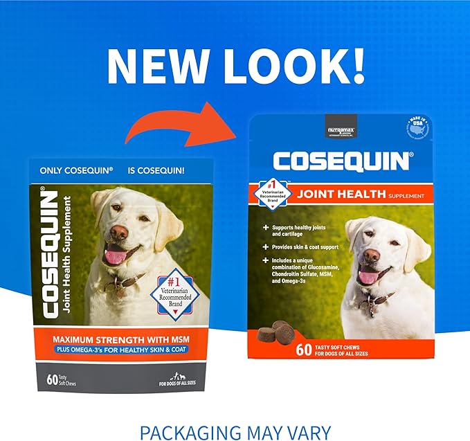 COSEQUIN Maximum Strength Joint Supplement Plus MSM & Omega-3's - With Glucosamine and Chondroitin - For Dogs of All Sizes (Soft Chews)