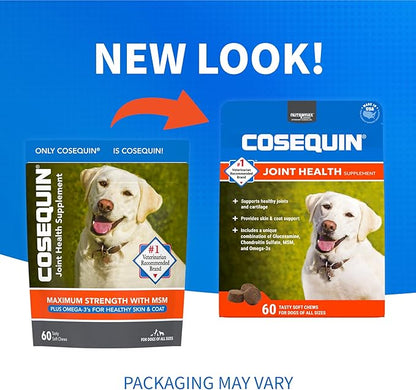 COSEQUIN Maximum Strength Joint Supplement Plus MSM & Omega-3's - With Glucosamine and Chondroitin - For Dogs of All Sizes (Soft Chews)
