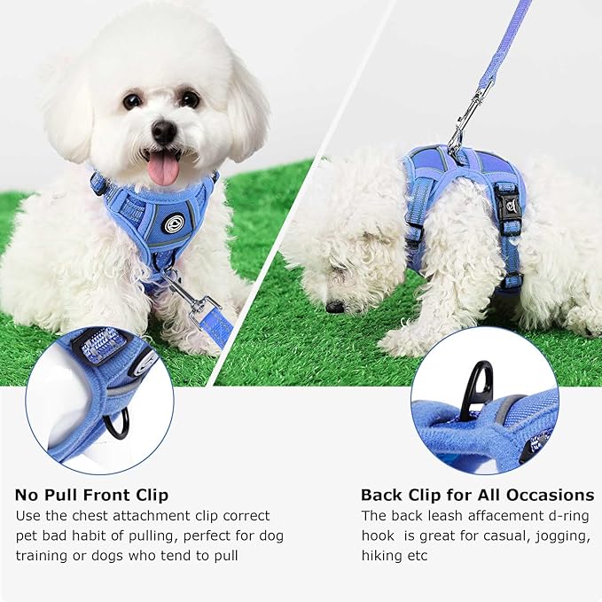 Dog Harness Small Sized Dog, No Pull Pet Harness with 2 Leash Clips, Adjustable Soft Padded Dog Vest Harnesses, Reflective No-Choke Pet Oxford Vest