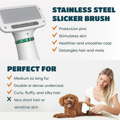 2-in-1 Dog Hair Dryer with Slicker Brush for Small-Sized Dogs and Cats | Pet Hair Dryer | Dog Blow Dryer | 300 Watts, 75-85 dB, Adjustable Temperature, Overheat Protection