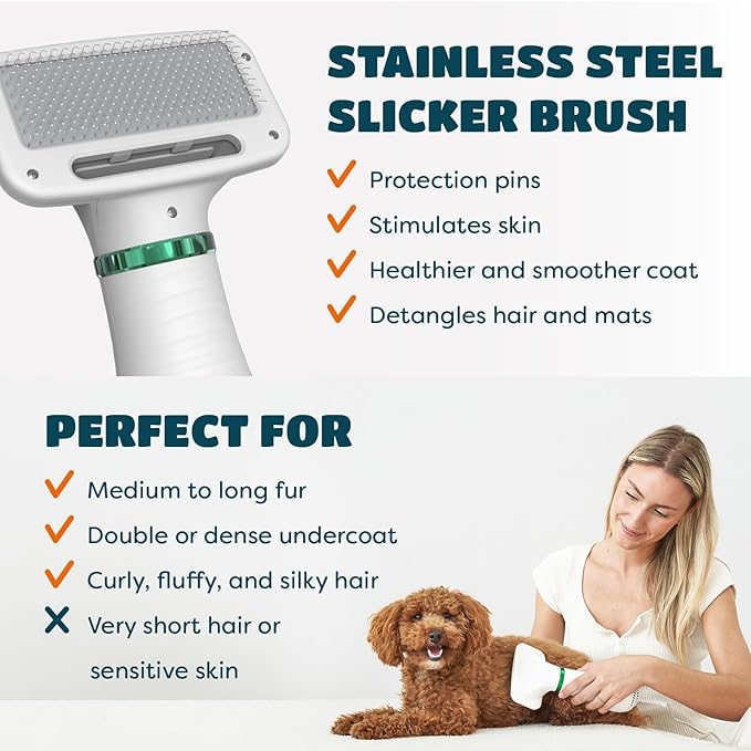 2-in-1 Dog Hair Dryer with Slicker Brush for Small-Sized Dogs and Cats | Pet Hair Dryer | Dog Blow Dryer | 300 Watts, 75-85 dB, Adjustable Temperature, Overheat Protection