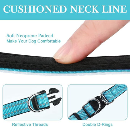 AUAUY Reflective Nylon Dog Collars, Adjustable Classic Pet Collars with Soft Neoprene Padding, Double Security Dual D-Ring and Quick Release Buckle for Small Puppy, Medium and Large Dogs (Lake Blue-S)
