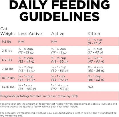 Go! Solutions Carnivore, Grain-Free, Protein Rich Dry Cat Food, Salmon and Cod Recipe, 3 lb Bag