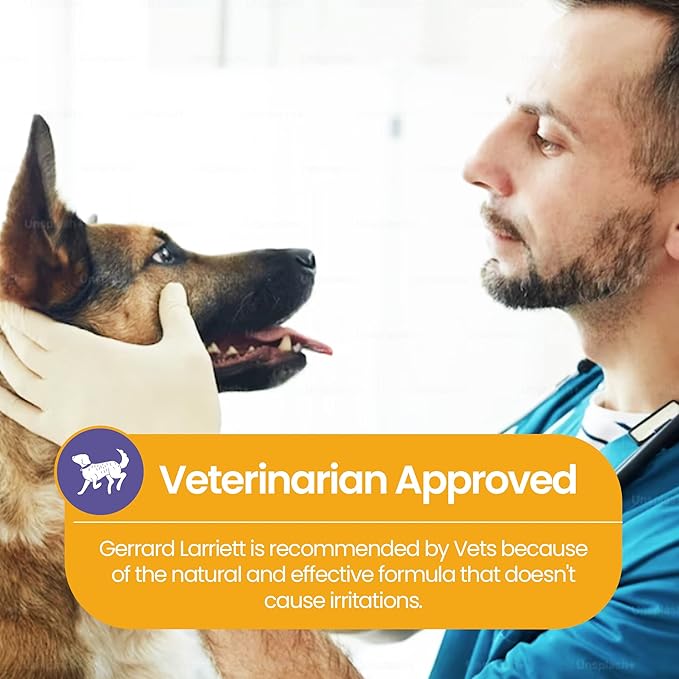 Dog Shampoo and Conditioner De-Stress Lavender & Chamomile 16 Fl Oz Dog Shampoo Itchy Skin Relief Hypoallergenic Aromatherapy Dog Shampoo for Smelly Dogs with Aloe Vera & Oatmeal by Gerrard Larriett