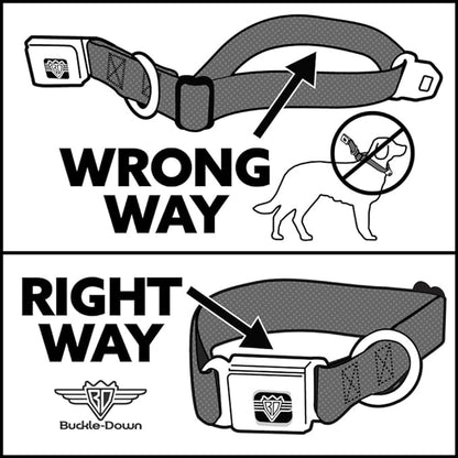 Cartoon Network Easy Adjustable Metal Seatbelt Buckle Quick Release Dog Collar, Adventure Time Marcelines Axe Bass Guitar Scattered Gray, 15 to 24 Inches 1.0 Inch Wide