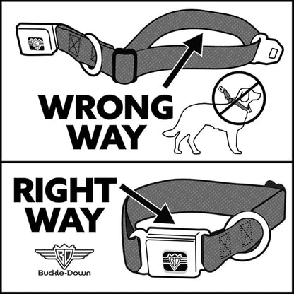 Cartoon Network Easy Adjustable Metal Seatbelt Buckle Quick Release Dog Collar, Adventure Time Marcelines Axe Bass Guitar Scattered Gray, 16 to 23 Inches 1.5 Inch Wide