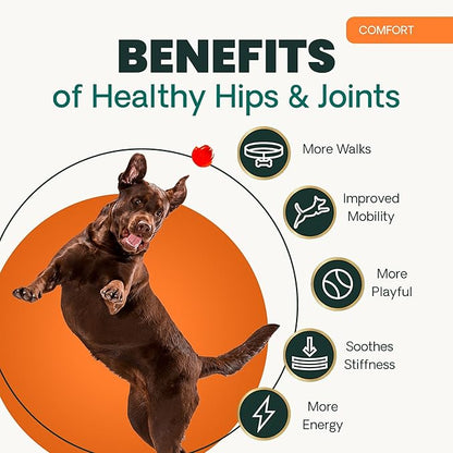 VetriScience Extra Strength Healthy Hip & Joint Chews, GlycoFlex 3, Glucosamine, Green-Lipped Mussel, Joint Support Supplement for Dogs, Promote Mobility & Soothe Joint Discomfort, Chicken, 120 Count