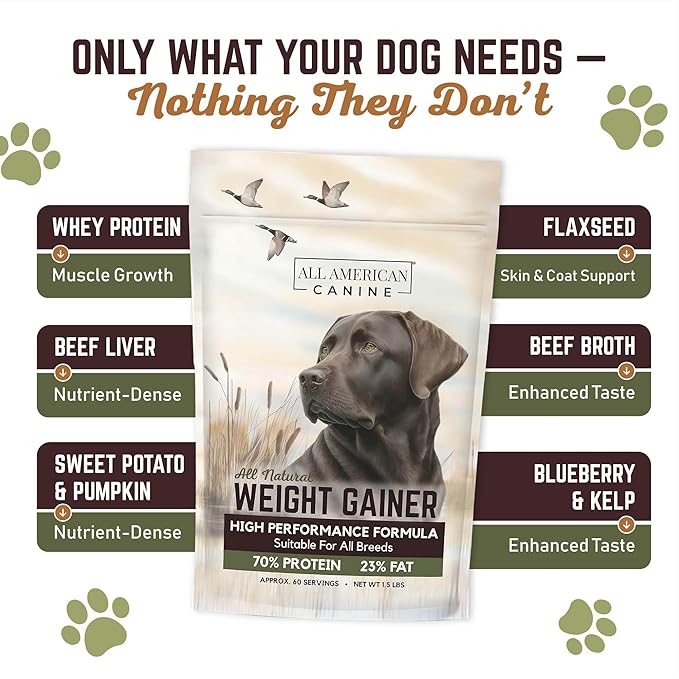 Dog Weight Gainer  High Calorie Dog Food Supplement & Protein Powder for Rapid Weight Gain, Mass, and Recovery  Appetite Stimulant  60 Servings