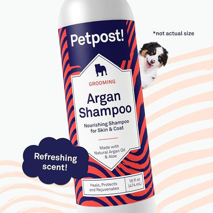 Petpost | Argan Shampoo for Dogs - Naturally Heals, Protects, & Rejuvenates Dog Dry Skin & Coat - Argan Oil and Aloe Formula 16 oz.