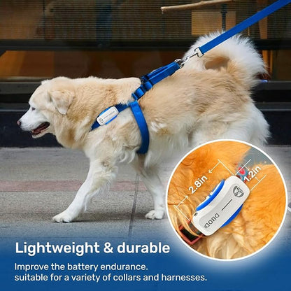 AI GPS Tracker for Dogs (30lbs+), Real Time Location and AI Vet Health Management, Electronic Fence, Waterproof, iOS and Android Universalï¼_hiteï¼