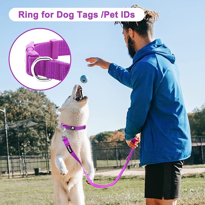 azuza 3 Pack Dog Collars Comfortable and Adjustable Nylon Dog Collars for for Small Dogs, S (11-16inch)ï¼_ink, Hot Pink and Purple