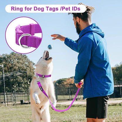 azuza 3 Pack Dog Collars Comfortable and Adjustable Nylon Dog Collars for for Small Dogs, S (11-16inch)ï¼_ink, Hot Pink and Purple