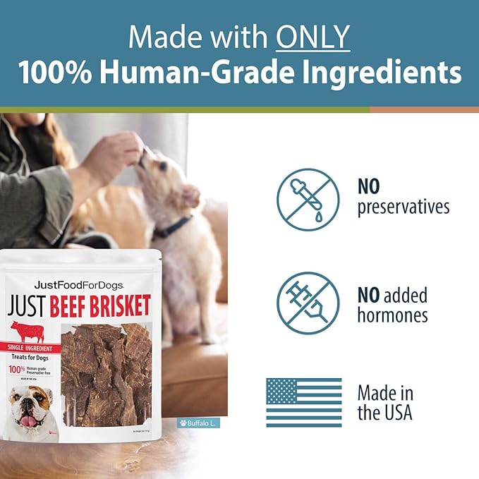 JustFoodForDogs Single-Ingredient Healthy Dog Treats, Beef Brisket, Made in The USA, 5 oz