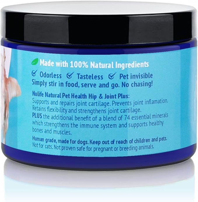 Advanced Glucosamine Powder for Dogs for Arthritis Pain Relief & Hip Dysplasia, Supports Joint Health & Reduces Inflammation with Glucosamine, Chondroitin, MSM & Coral Calcium, 6oz Powder