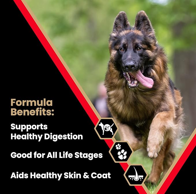 VICTOR Super Premium Dog Food  High Energy Dry Dog Food for Active Dogs  Gluten Free Dog Food with Beef and Chicken Meal Proteins for Sporting Dogs  All Breeds and All Life Stages, 5 lb