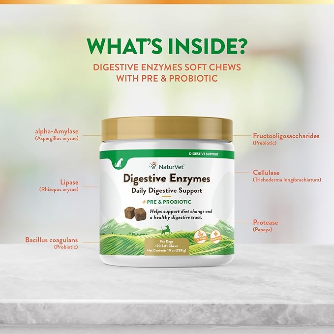 NaturVet  Digestive Enzymes - Plus Probiotics & Prebiotics  Helps Support Diet Change & A Healthy Digestive Tract  for Dogs & Cats (Soft Chews, 120 Count)