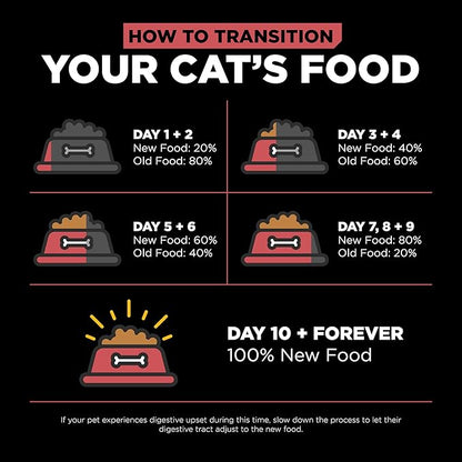 Go! Solutions Sensitivities Limited Ingredient, Grain-Free Dry Cat Food, Salmon Recipe for Sensitive Stomach, 12 lb Bag